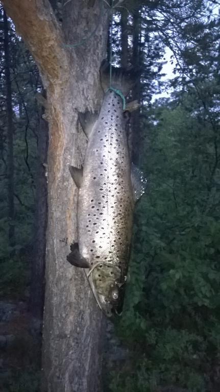 Inari Juutua Villa Exteriör bild